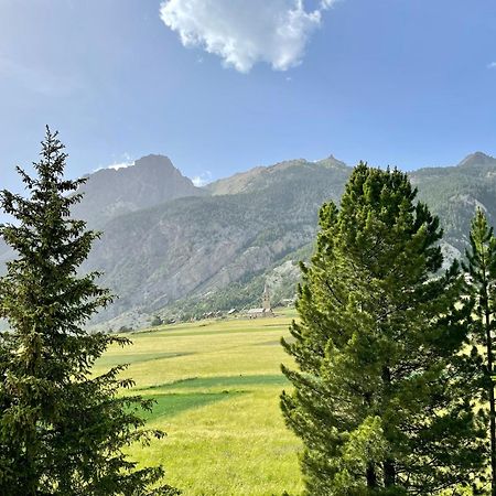 Gite Montagne 1 A 25 Places "Chalet Coste Belle" Ceillac Ngoại thất bức ảnh